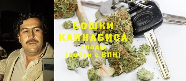 2c-b Рославль