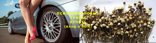 спиды Волоколамск